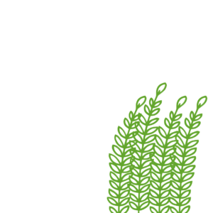 Espigas