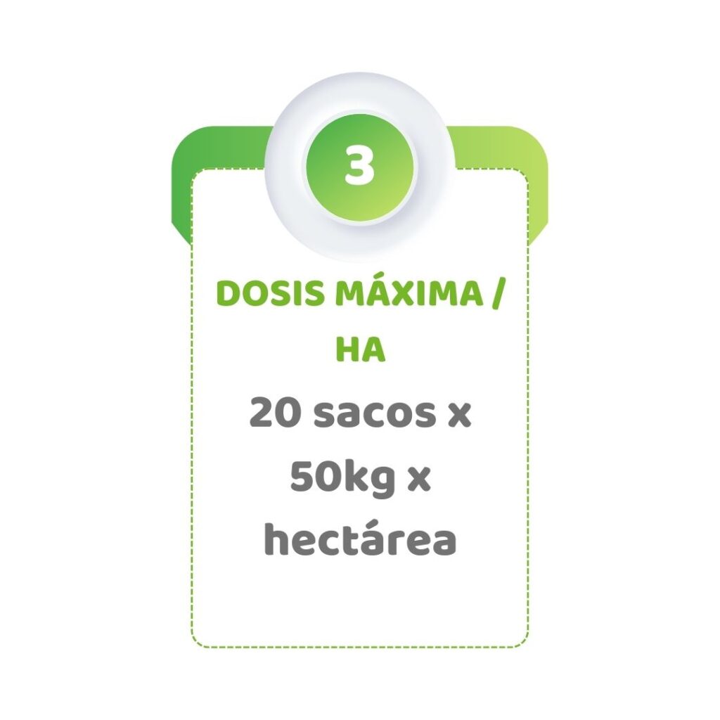 Abonamiento en la producción de quinua orgánica - Dosis maxima